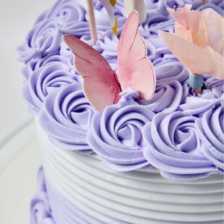 Fairy Wishes Cake