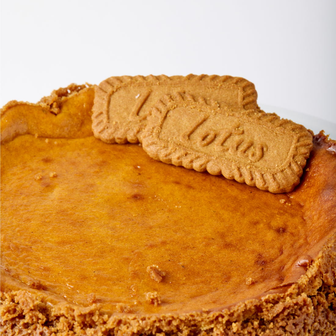 Pumpkin Cheesecake